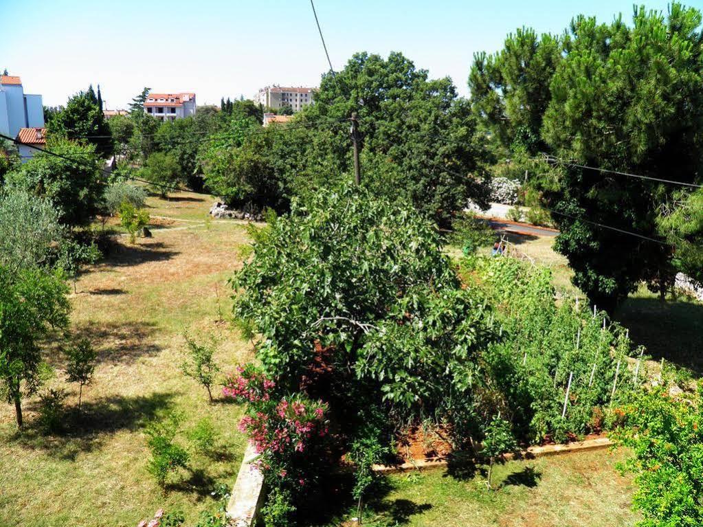 Rooms Glavan 63 Ρόβινι Εξωτερικό φωτογραφία